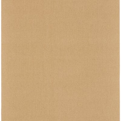 Anguillita Carpet by Abbey Carpet