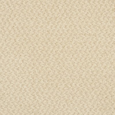 Global Image Carpet by Abbey Carpet
