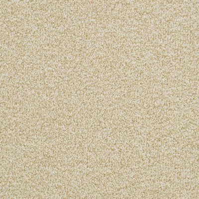 Village Charm Carpet by Soft Splendor petdefense™