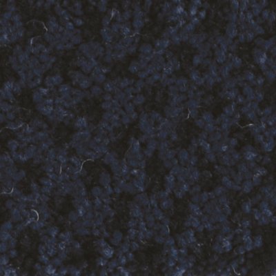 Destry Carpet by Abbey Carpet