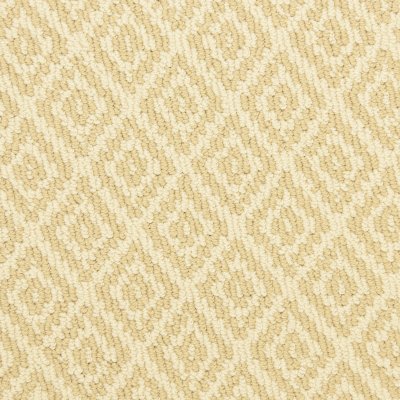 Capitol Avenue Carpet by Soft Splendor petdefense™