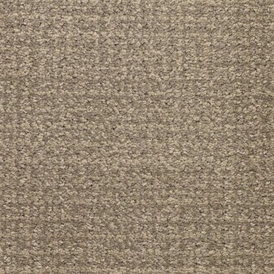 Joyful Welcome Carpet by Soft Splendor petdefense™