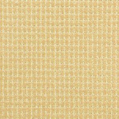 Capital Road Carpet by Soft Splendor petdefense™