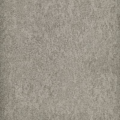 Night Shadow Carpet by Abbey Carpet