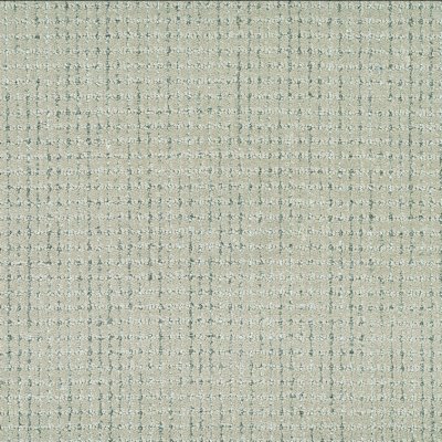 Distinct Accent Carpet by Soft Splendor