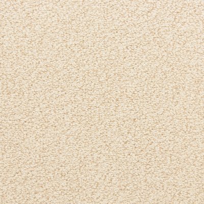Enduring Appeal Carpet by Soft Splendor petdefense™