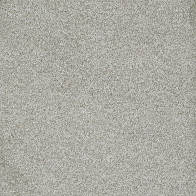 Watchful Gaze Carpet by Soft Splendor petdefense™