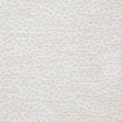 Legend Cove Carpet by Soft Splendor