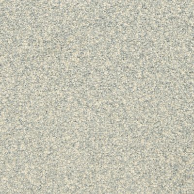 Constant Presence Carpet by Soft Splendor petdefense™