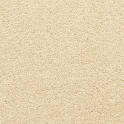 Independence Carpet by Soft Splendor petdefense™