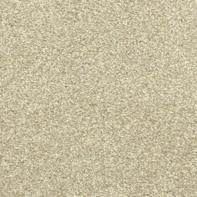 Elegant Heights Carpet by Soft Splendor petdefense™