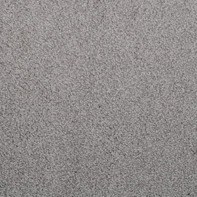 Elegant Shine Carpet by Abbey Carpet