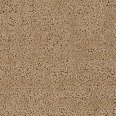 Armando Carpet by Soft Splendor petdefense™