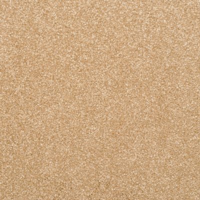 Gallant Ride Carpet by Abbey Carpet