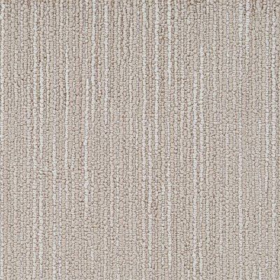 Grant Pass Carpet by Soft Splendor petdefense™
