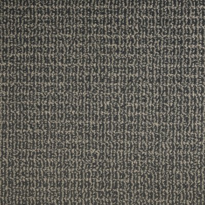 Ballard Park Carpet by Soft Splendor petdefense™