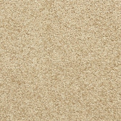 Dreamtime Carpet by Soft Splendor petdefense™