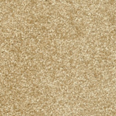 East Dundee Carpet by Soft Splendor petdefense™