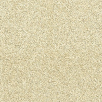 Elegant Charm Carpet by Soft Splendor petdefense™