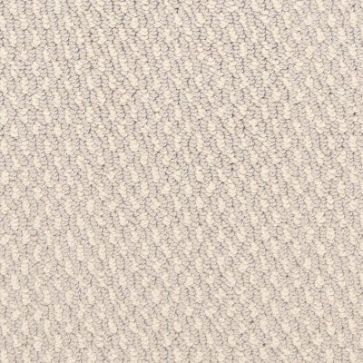 Lake Howell Carpet by Soft Splendor petdefense™