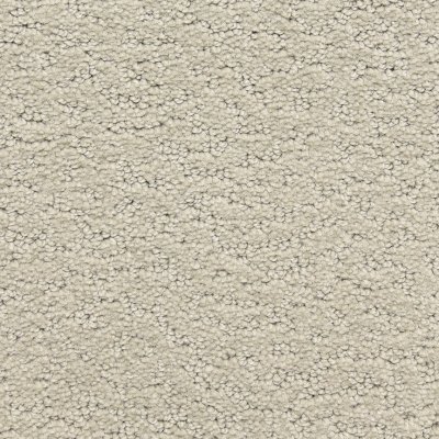 Hidden Treasure Carpet by Soft Splendor