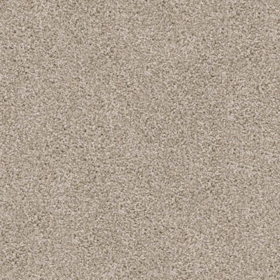 Polished Style Carpet by Soft Splendor petdefense™