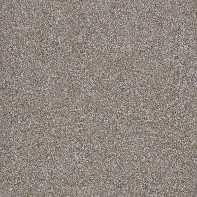 Upscale Evening Carpet by Soft Splendor