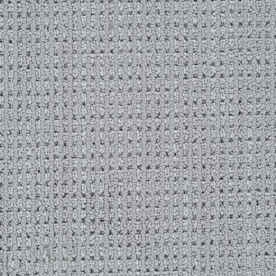 High Point Carpet by Soft Splendor petdefense™