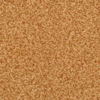 Bissett Carpet by Soft Splendor petdefense™