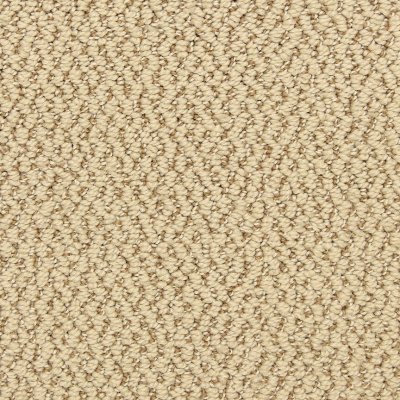Inspired Design Carpet by Soft Splendor petdefense™