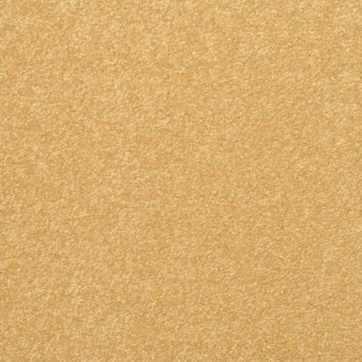 All Awash Carpet by Abbey Carpet