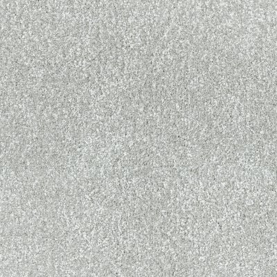 Infinite Wisdom Carpet by Soft Splendor