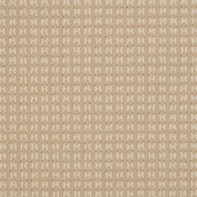 Hannon Park Carpet by Soft Splendor petdefense™