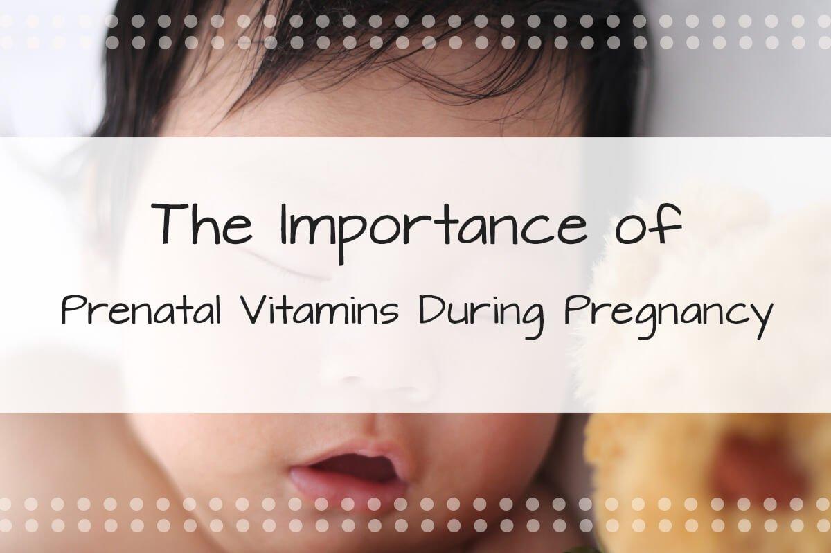 The Importance of Prenatal Vitamins During Pregnancy